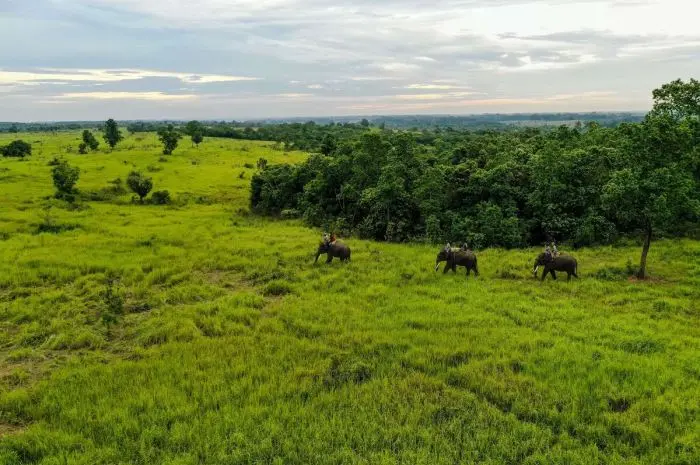 Way Kambas National Park